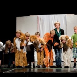 Groepsoptreden (77) - Toneelvereniging Plankenkoorts 